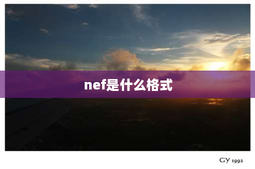 nef是什么格式 NEF文件如何在电脑上打开？