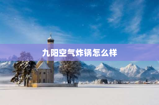 九阳空气炸锅怎么样 九阳空气炸锅6升vf506怎么样？