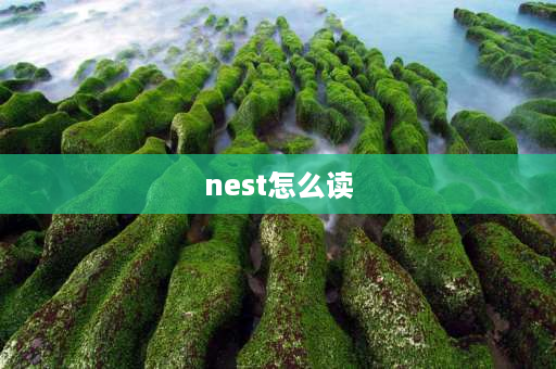 nest怎么读 e的开音节单词有什么？