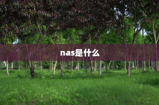 nas是什么 NAS是什么意思？