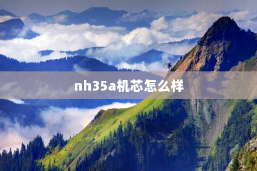 nh35a机芯怎么样 nh35a机芯走时准不准？