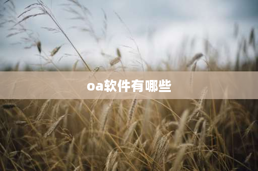 oa软件有哪些 oa办公系统软件都有哪些品牌？