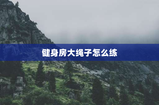 健身房大绳子怎么练 健身房里看到拿两根粗绳子甩的是锻炼什么的？