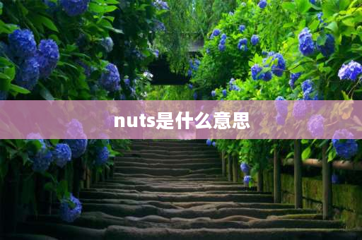 nuts是什么意思 ea为词根的单词？