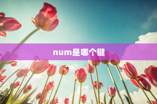 num是哪个键 键盘num是哪个键？