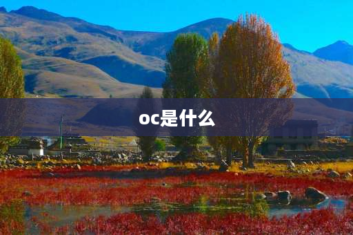 oc是什么 oc是什么意思通俗点？