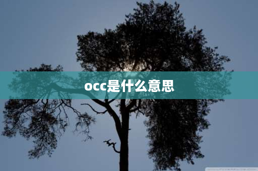 occ是什么意思 occ制浆什么意思？