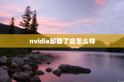 nvidia卸载了会怎么样 nvidia控制面板闪退对主机有影响吗？