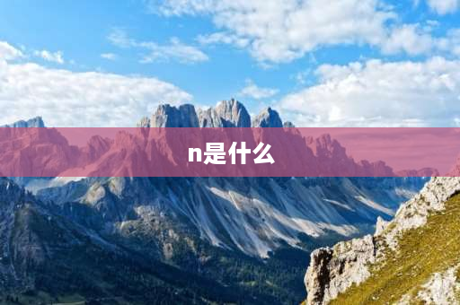 n是什么 n是什么类型字符？