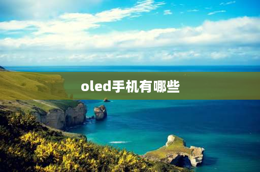 oled手机有哪些 oled屏的手机有哪些？