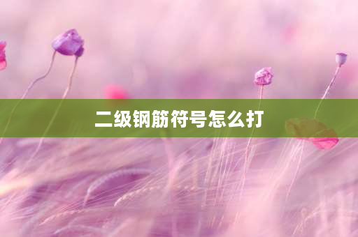 二级钢筋符号怎么打 cad2014怎么输入钢筋符号？