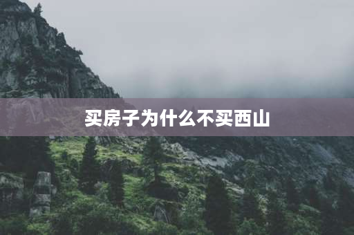 买房子为什么不买西山 靠西山的房子，买还是不买？