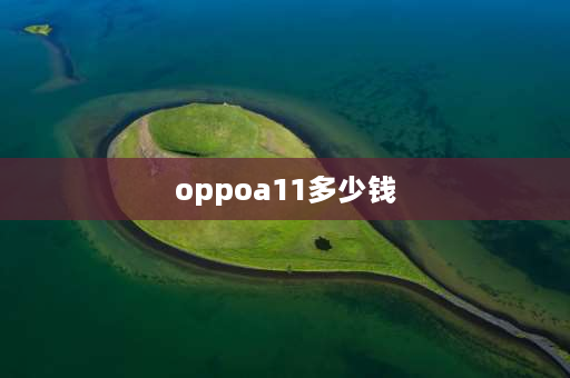 oppoa11多少钱 oppoa11手机售价一般多少钱？