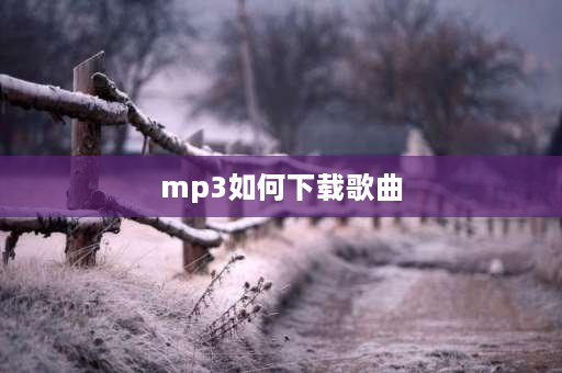 mp3如何下载歌曲 文件管理怎么下载歌曲？