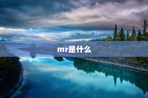 mr是什么 Mr是什么？