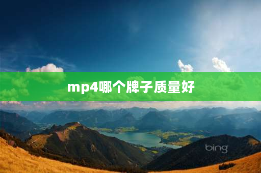 mp4哪个牌子质量好 什么牌子的mp4好用又便宜？