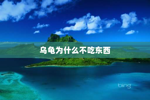 乌龟为什么不吃东西 乌龟不吃东西有几种原因？