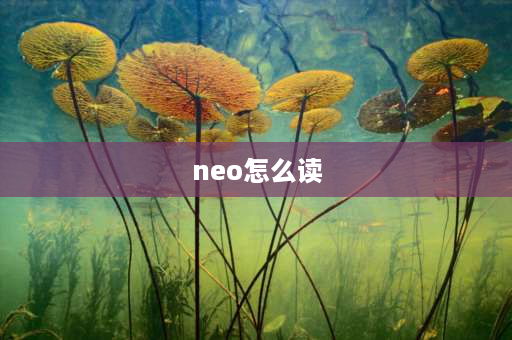 neo怎么读 iqoo进不去桌面无障碍模式怎么关？