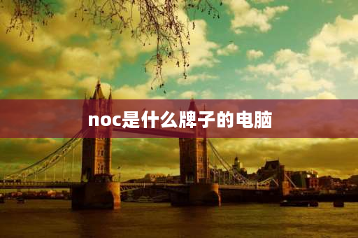 noc是什么牌子的电脑 noc超薄电脑显示器电源是多少v？