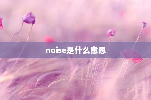 noise是什么意思 loud和noise的区别？