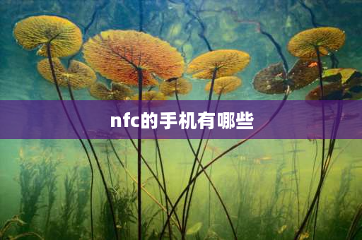 nfc的手机有哪些 nfc功能的手机有哪些？