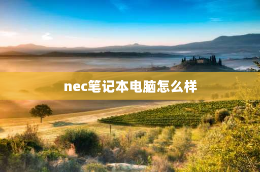 nec笔记本电脑怎么样 necvk25笔记本哪一年上市的？