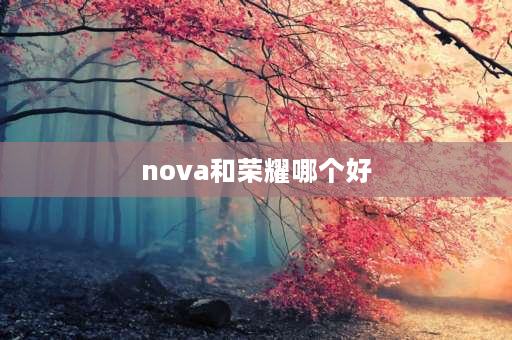 nova和荣耀哪个好 华为荣耀和nova系列哪个好？