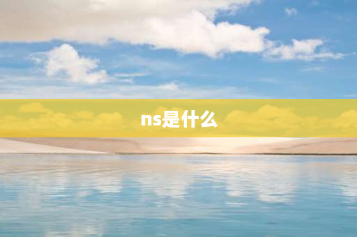 ns是什么 网络用语NS是什么意思？