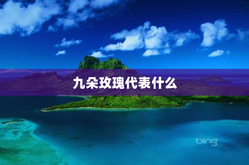 九朵玫瑰代表什么 9朵粉玫瑰代表什么意思？