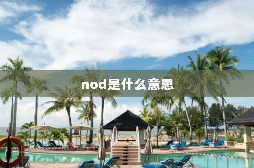 nod是什么意思 nod反义词？