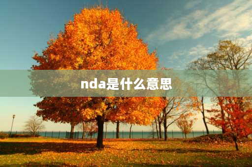 nda是什么意思 bla和nda的区别？