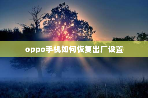 oppo手机如何恢复出厂设置 怎样恢复出厂设置oppo？