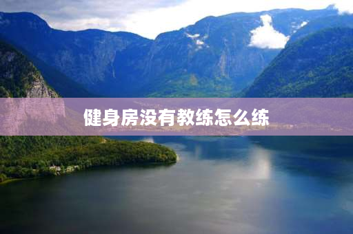 健身房没有教练怎么练 零基础学健身教练去健身房还是学校？