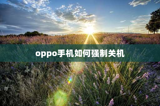 oppo手机如何强制关机 OPPO手机怎么强制关机？