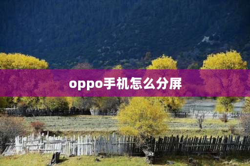 oppo手机怎么分屏 oppo手机分屏怎么弄？