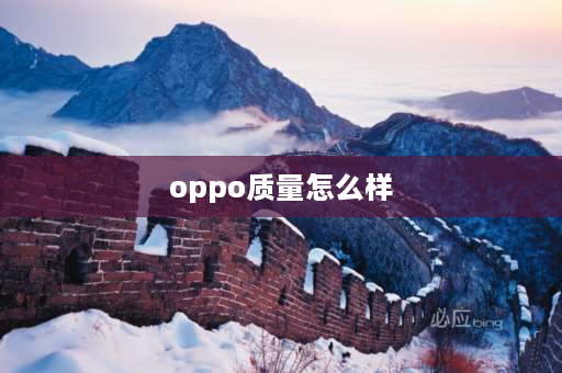 oppo质量怎么样 oppovivo和荣耀哪个品控质量好？