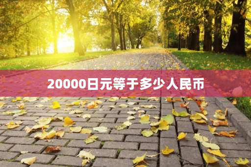 20000日元等于多少人民币 20000万日元能买什么？