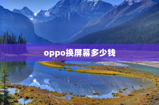 oppo换屏幕多少钱 oppodesigned by oppo换屏多少钱？