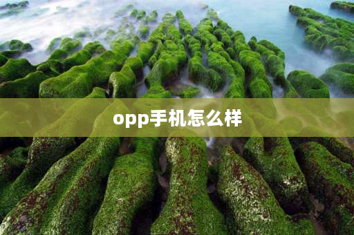 opp手机怎么样 oppO手机怎么样？