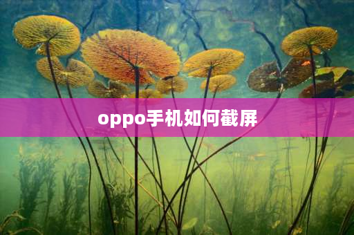 oppo手机如何截屏 oppo手机如何截屏？