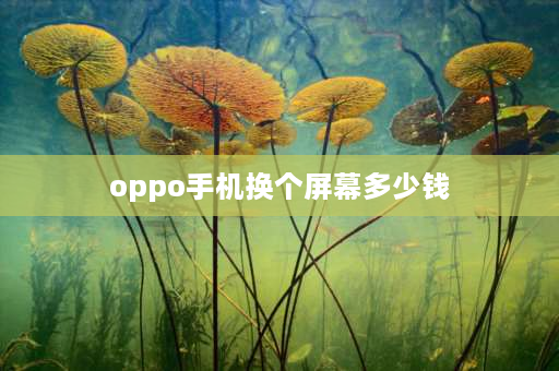 oppo手机换个屏幕多少钱 oppo手机屏完整只是脱落修多少钱？