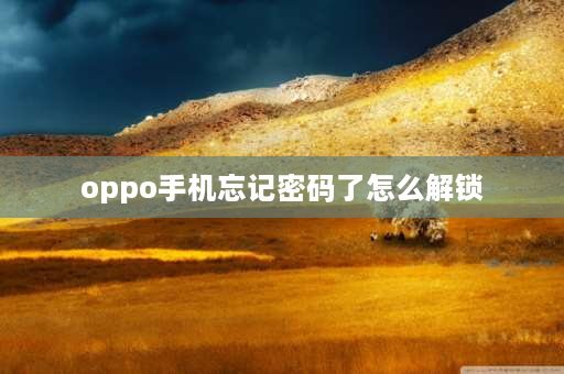 oppo手机忘记密码了怎么解锁 oppo手机密码忘了怎么解锁？