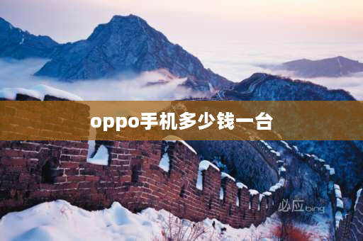 oppo手机多少钱一台 opporenopcat00是什么型号多少钱？