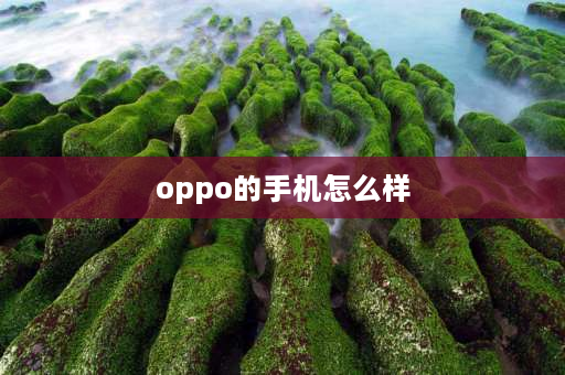 oppo的手机怎么样 OPPO的Reno系列建议入手吗？