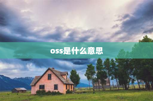 oss是什么意思 oss是什么意思？