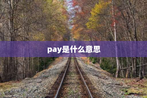 pay是什么意思 pay是什么意思？