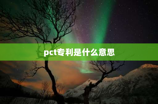 pct专利是什么意思 pct在国际金融实务中是什么意思？