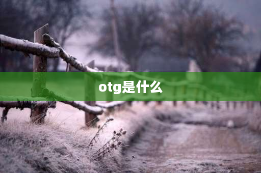 otg是什么 otg模式是什么意思啊？