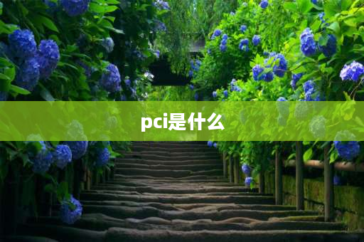 pci是什么 pci是什么意思？