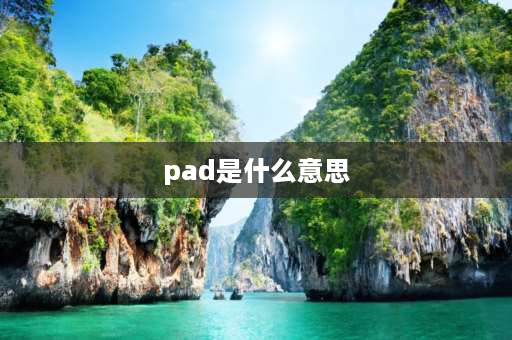 pad是什么意思 PAD是什么？